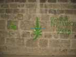 Fotos Noticias 2009
